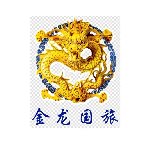 大连金龙国际旅行社成都一分公司_工商注册信息_企业工商信息
