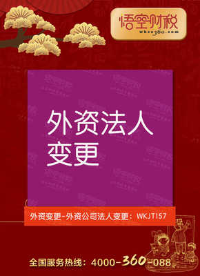 外资公司法人可以存多少钱一年-有限公司法人独资是外资吗