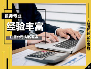 财税服务 代理记账 内资小规模记账等 注册公司 代理记账
