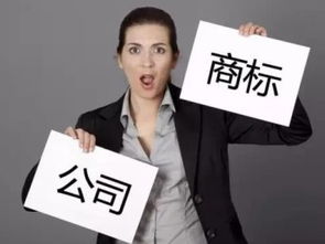 图 广州公司注册 内资公司注册 提供注册地址等 广州工商注册